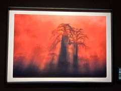 -罗红摄影艺术馆