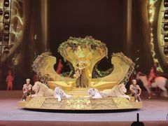 -广州长隆国际大马戏