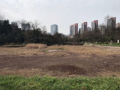 -重庆彩云湖湿地公园