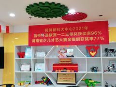 -童程童美信奥赛科技特长·乐高编程科创机器人(科大校区)