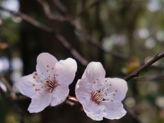 -昆明市金殿名胜区