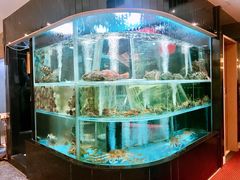 景观位-海港酒家(上水新丰店)