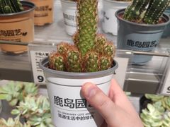 -鹿岛生活(熙地港店)