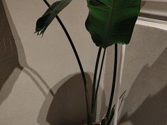 -泰合玺·精油疗愈 SPA(南京河西万达店)