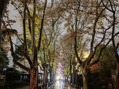 -静安公园(静安寺街道)