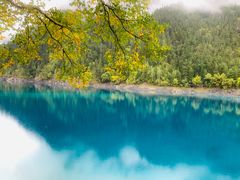 -九寨沟-树正沟