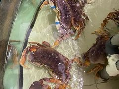 -白金汉爵大酒店(相城店)