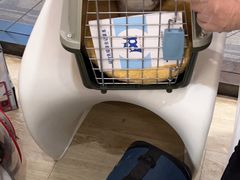 -pd派德宠物中心医院24H急重症·眼科中心·血液透析中心(嵩山北路店)