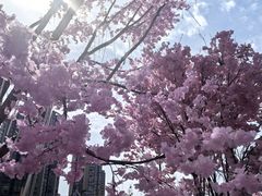 -首开·龙湖成都西宸天街