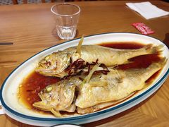 油泼黄花鱼-波螺油子·海肠捞饭·青岛菜(银座店)