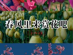 -凤凰沟景区
