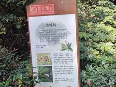 -杭州半山国家森林公园