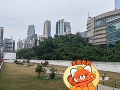 -九龙公园