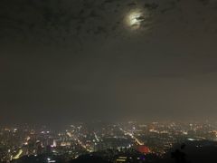 -长虫山生态公园风景林