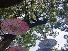 -韩湘水博园