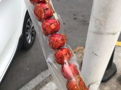-小宝栗子(西安道店)