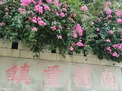 -友谊关景区