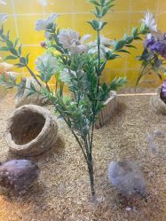 -神奇动物撸宠馆·羊驼·小浣熊·异宠(豫园店)