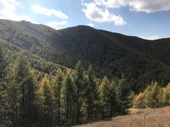 -苏木山森林公园