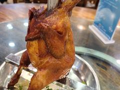 栋笃鸡-绿雅居原生态农庄(小涌店)