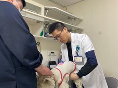 -喜多萌中农锦绣动物医院24H·猫科·牙科MRI·CT