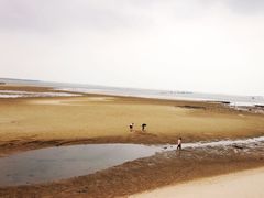 -北海金海湾红树林生态旅游区