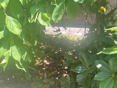 -南紀白浜 浜千鳥の湯 海舟