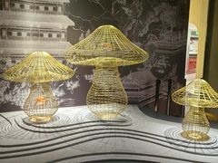 -一朵菌·野生菌探索家火锅(南亚店)