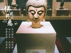 -宁夏博物馆