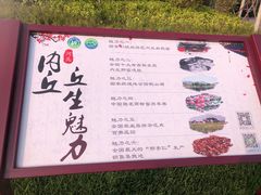 -扁鹊湖阿尔卡迪亚国际度假酒店