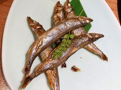 -初花·日本料理