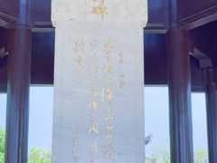 -观潮胜地公园