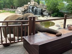 -北京野生动物园