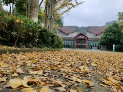 -中铁花水湾四季温泉谷
