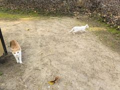 -金砂公园