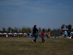 -春花秋色城市公园