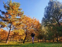 -森林公园(尖草坪区)