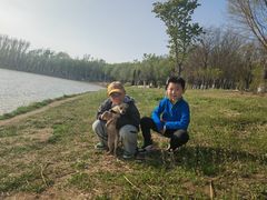-丁香湖公园