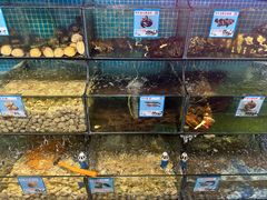 -范饭椰林川湘味海鲜·椰子鸡(三亚湾椰梦长廊店)