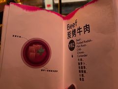 -毛辣果·酸(OHA复兴西路店)