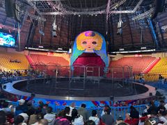 -俄罗斯国家大马戏团