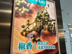 -青花椒花椒鱼(合生汇店)