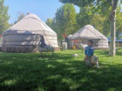 -九十九顶毡房(阜石路店)