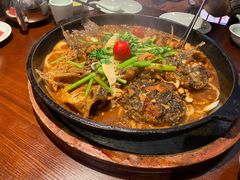 -老板恋上鱼(高新万达店)