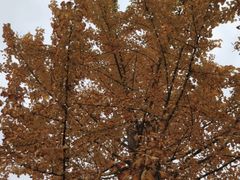 -雅安楠水阁温泉酒店