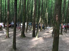 -山王坪喀斯特国家生态公园
