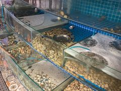 -蟹谢蒸鲜自助餐厅
