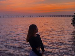 -宝安西湾红树林湿地公园