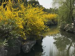 -花溪公园