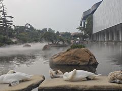 -罗红摄影艺术馆